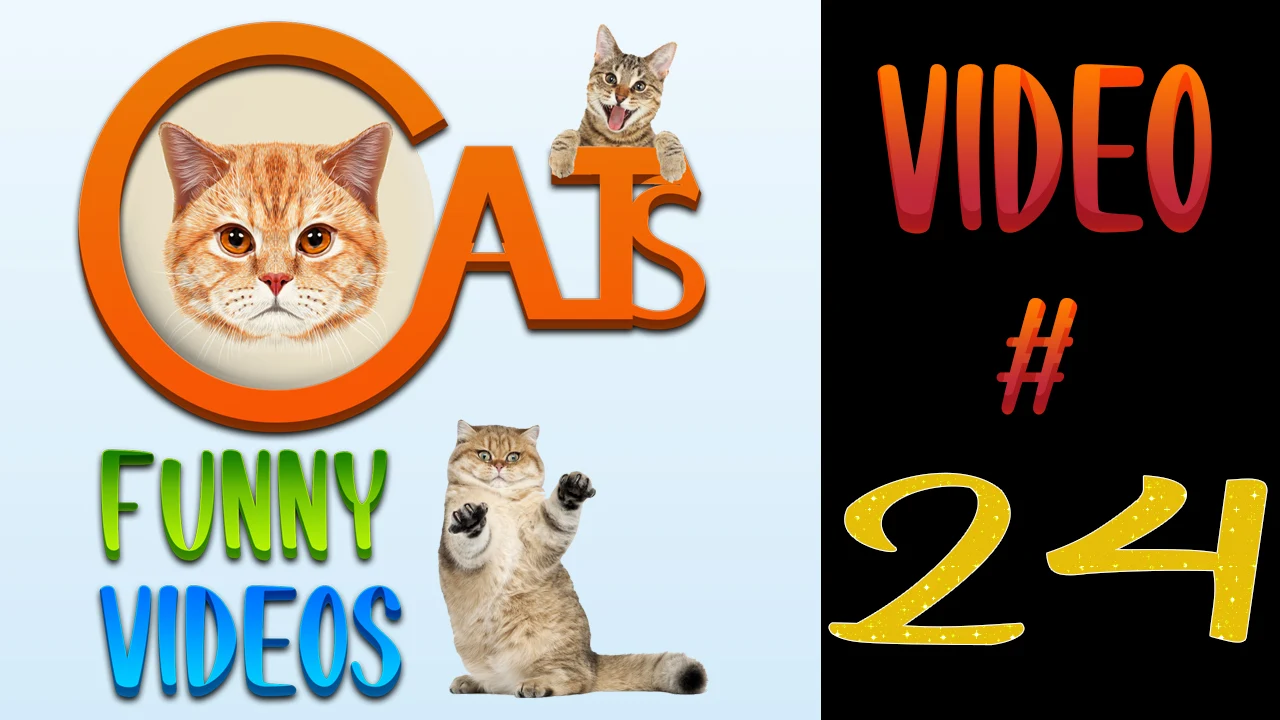 Cats Funny Videos Compilation 20 | Cute Cats |  #cats #catsvideos