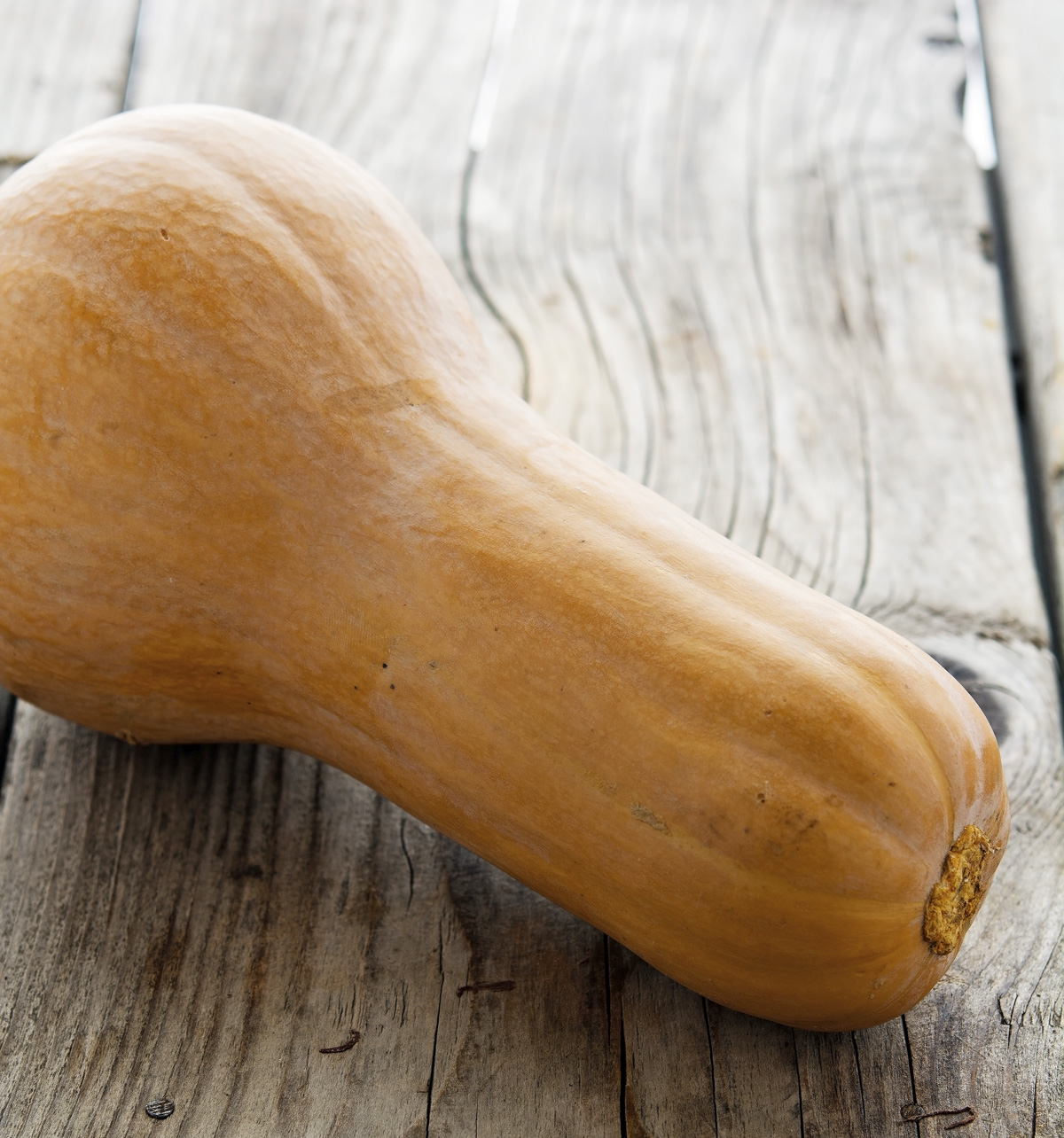 The Iron You Roasted Butternut Squash And Bacon Soup