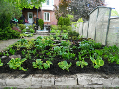 Summerhill Toronto New Front Perennial Garden Makeover After by Paul Jung Gardening Services--a Toronto Gardening Services Company Summerhill Toronto New Front Perennial Garden Makeover After by Paul Jung Gardening Services--a Toronto Gardening Services Company
