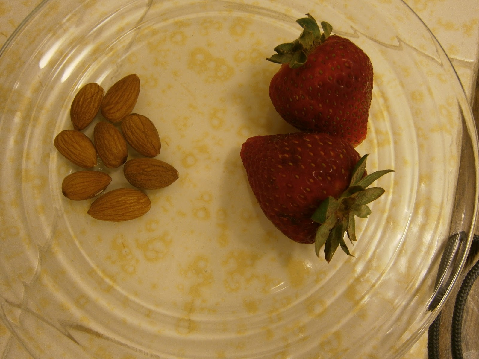 Missionary Journal Almonds and Strawberries