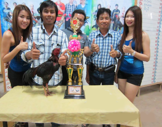Gambar Ayam Bangkok Juara Dunia Pecinta Jago