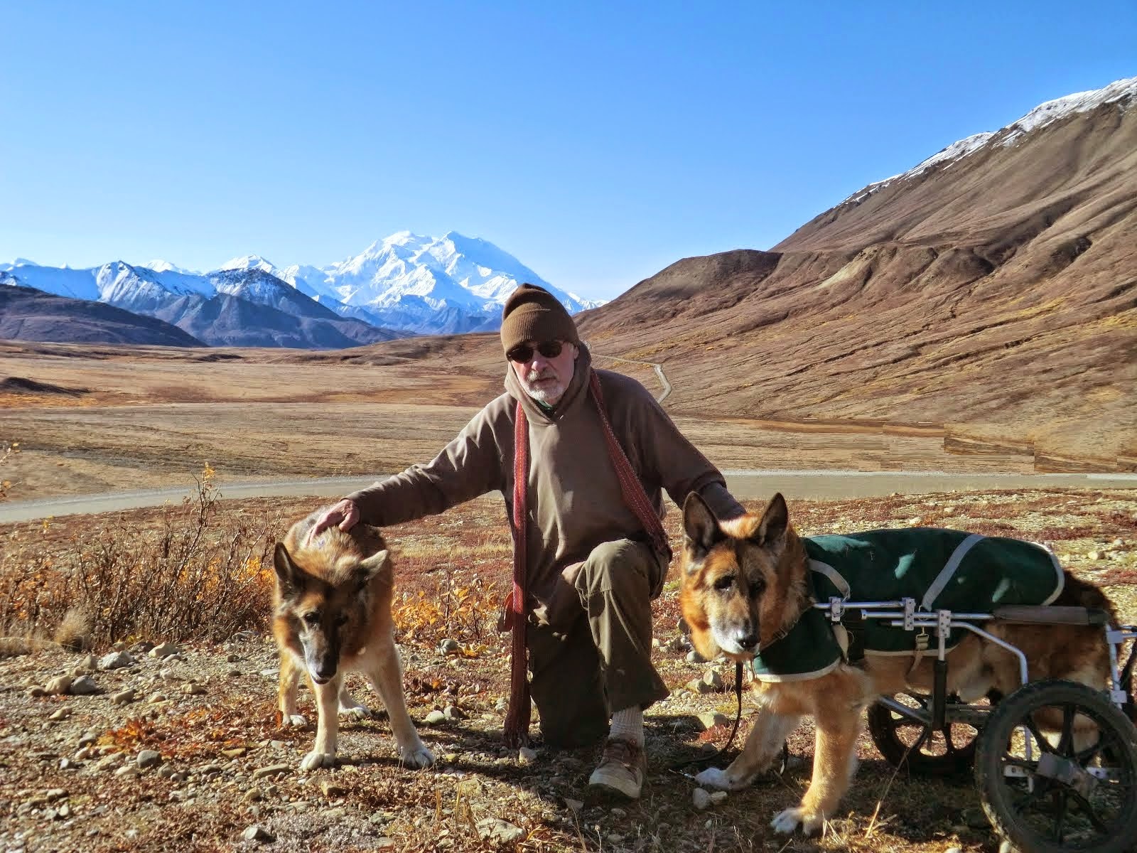 Leben and Erde (and Ed) with Denali in the background, 2013