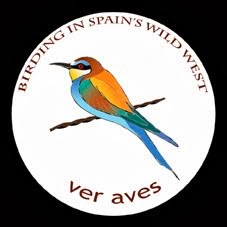 Birding in Spain's Wild West