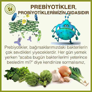 Prebiyotikler