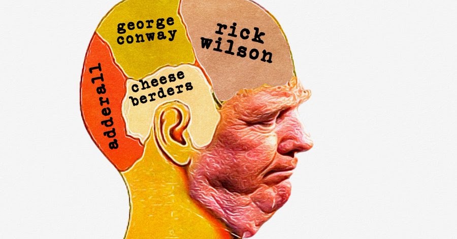 Brain trump fishermagical thought trumps Fishermagical Thought: Trump's Brain