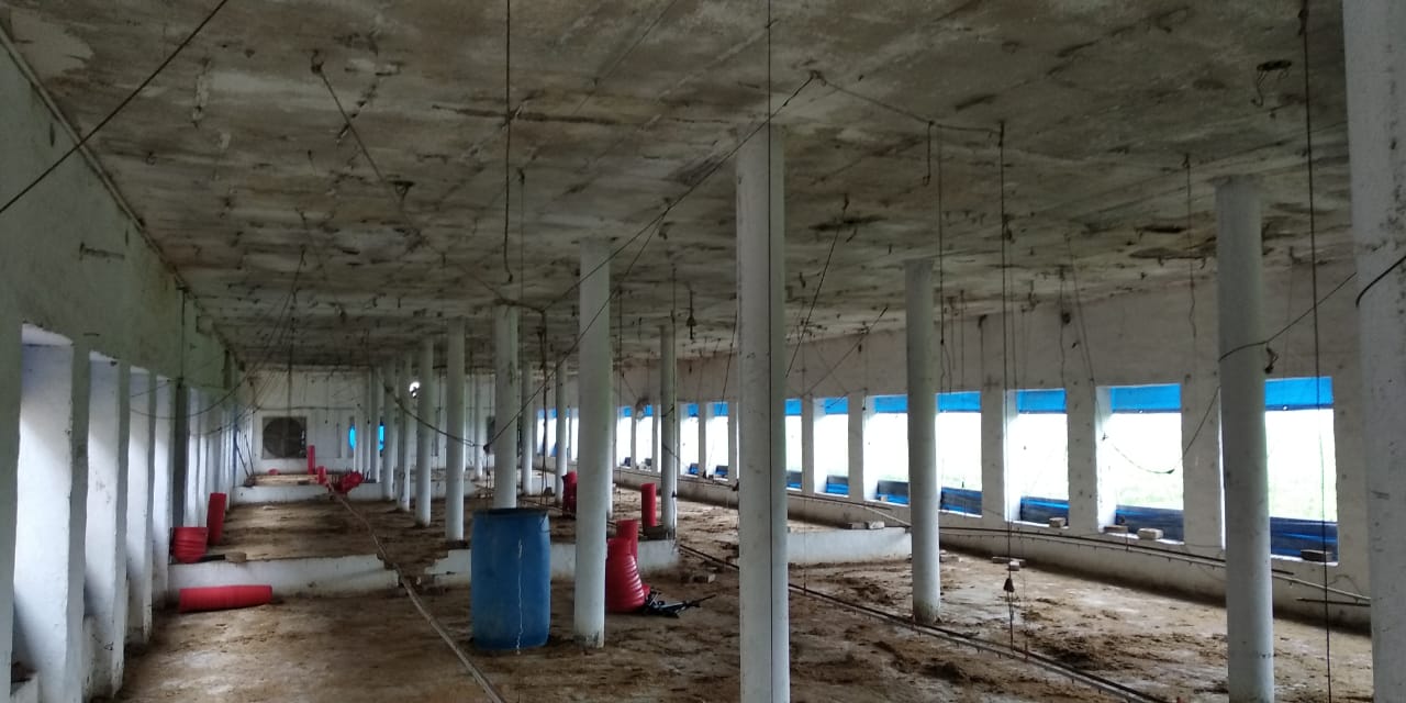 benipal property advisor poultry farm for sale