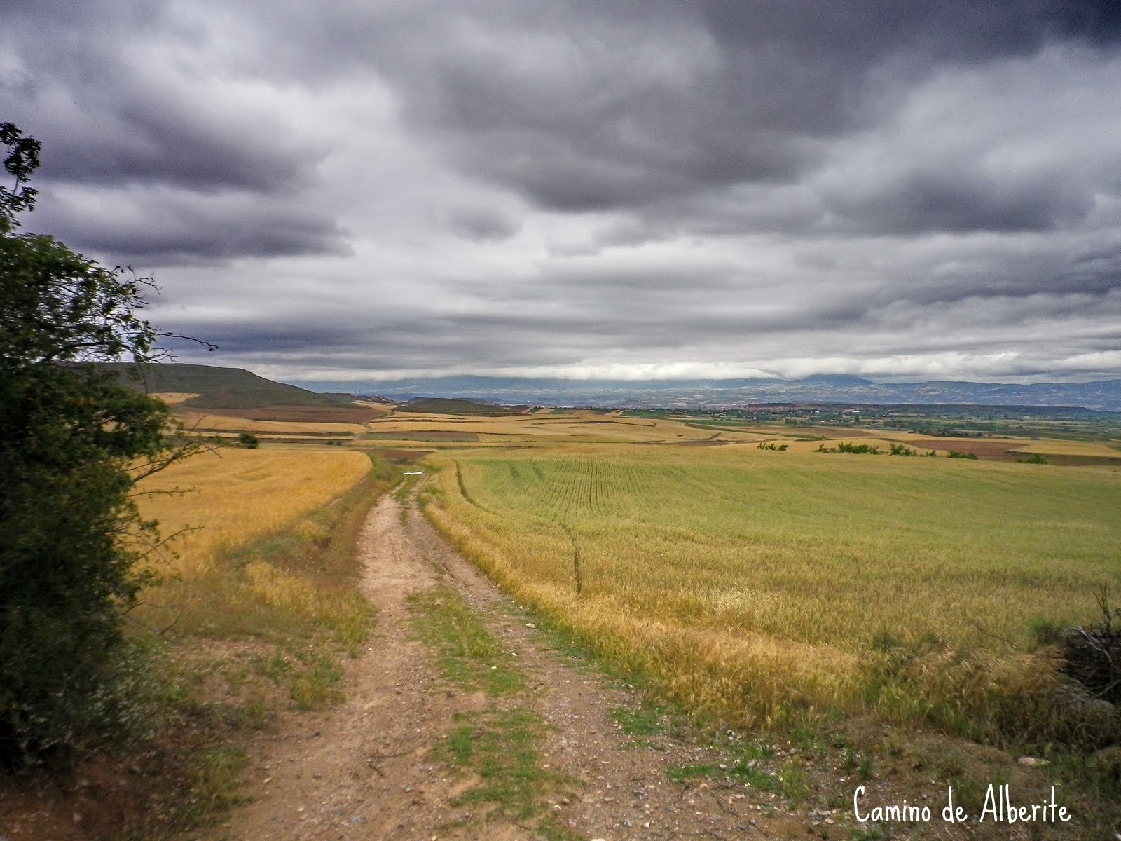 TRACKSRIOJA Better Zenzano ( Vuelta al Pico Zenzano desde Logroño) BTT