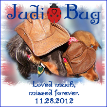 In Memory of Judi ~