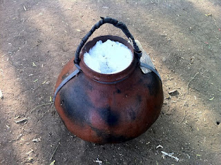 Palm Wine Fermentation Palm Wine Fermentation