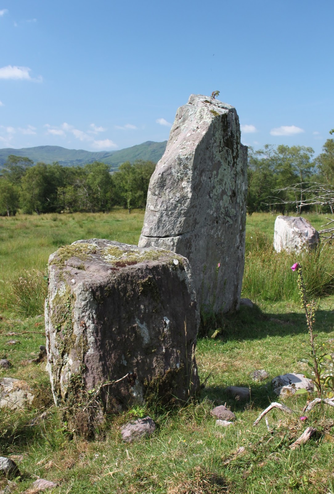 Historic Sites of Ireland Dromatouk Standing Stones