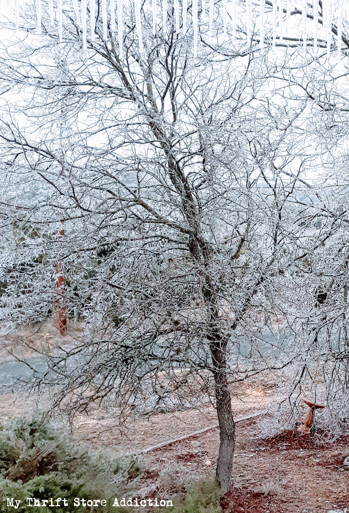 winter ice storm