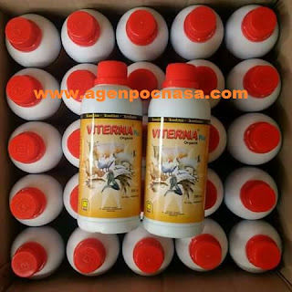 agen-nasa-di-tabang-mamasa-085232128980 agen-nasa-di-tabang-mamasa-085232128980