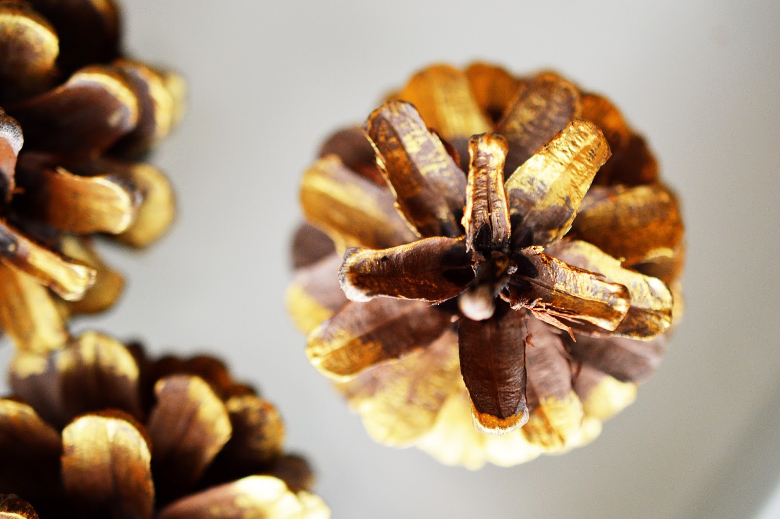 DIY Festive Pine Cone Garland| Motte's Blog