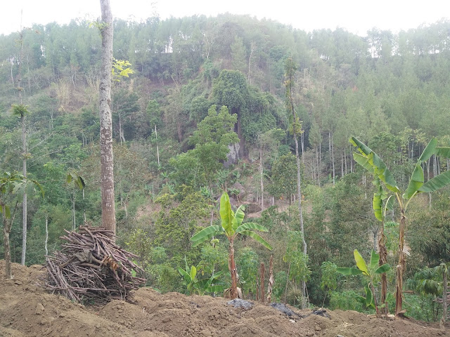 IMG20191124140247 Wisata Alam Watu Gepit Malang