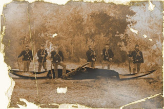 civil war picture with pterodactyl