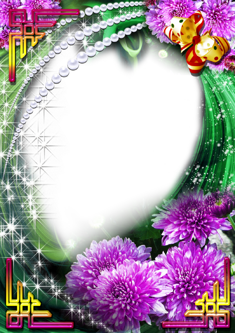 chrysanthemums frames