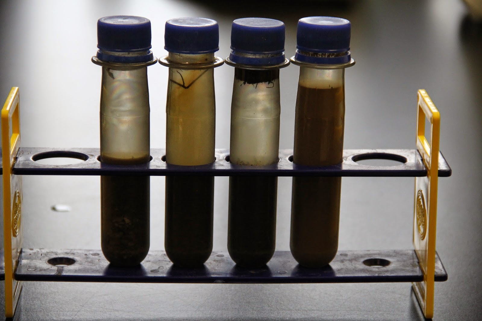 Isabella Conservation District Environmental Education Program Soil