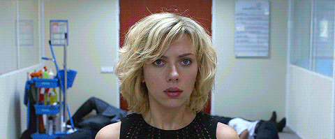6.gif