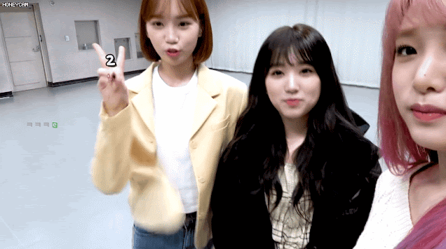 아직도 17살인  원영채원 나코 예나