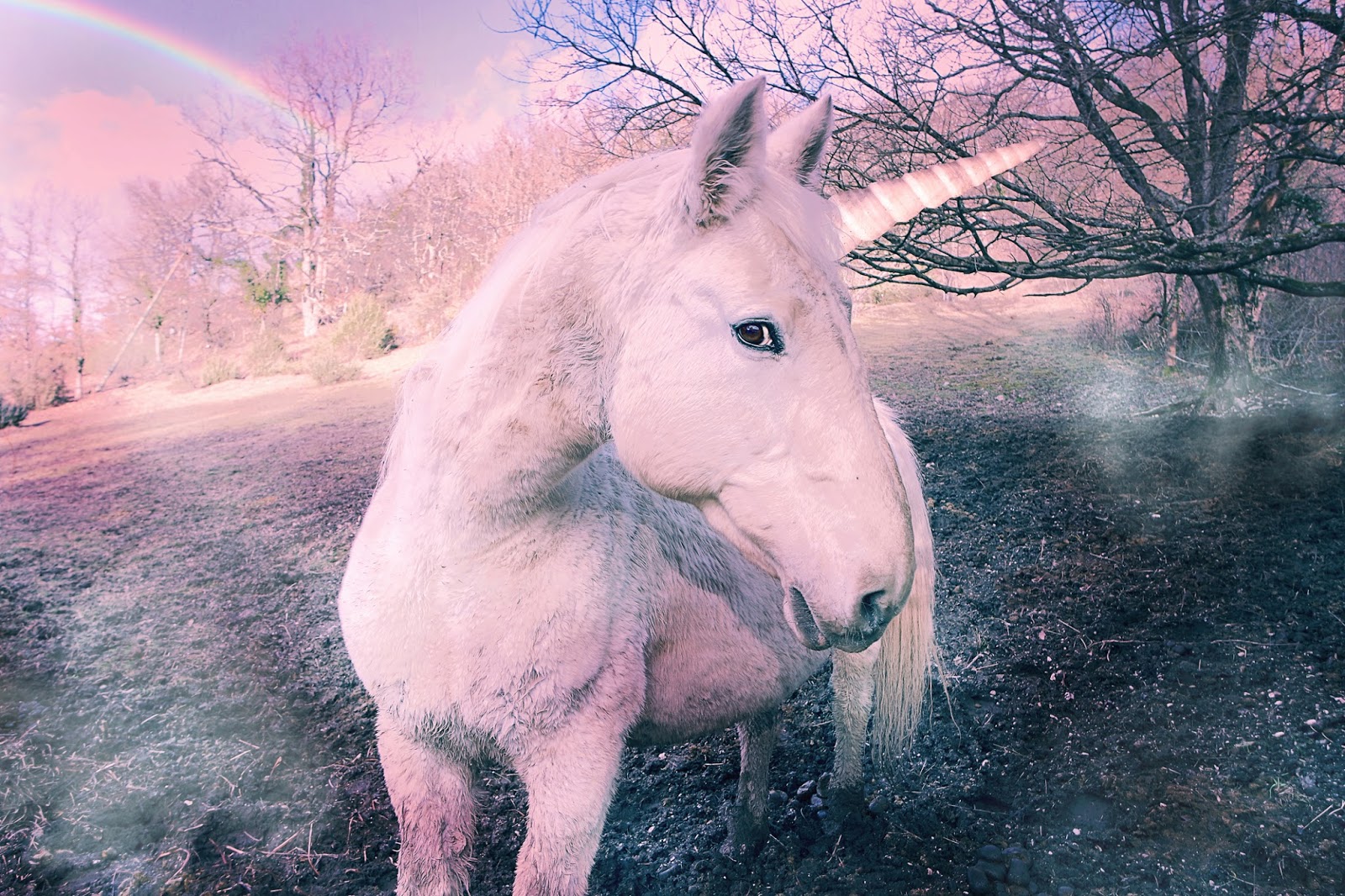 Rainbows & Unicorns, or Truth in Fiction