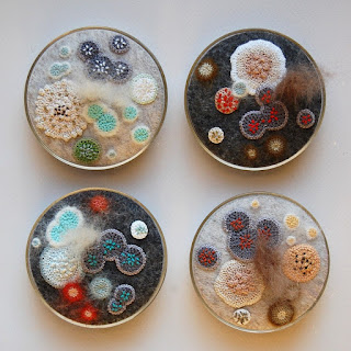 Four round ornaments. Inside each is multicolored crochet work made to look like mold and other growths in a petri dish.