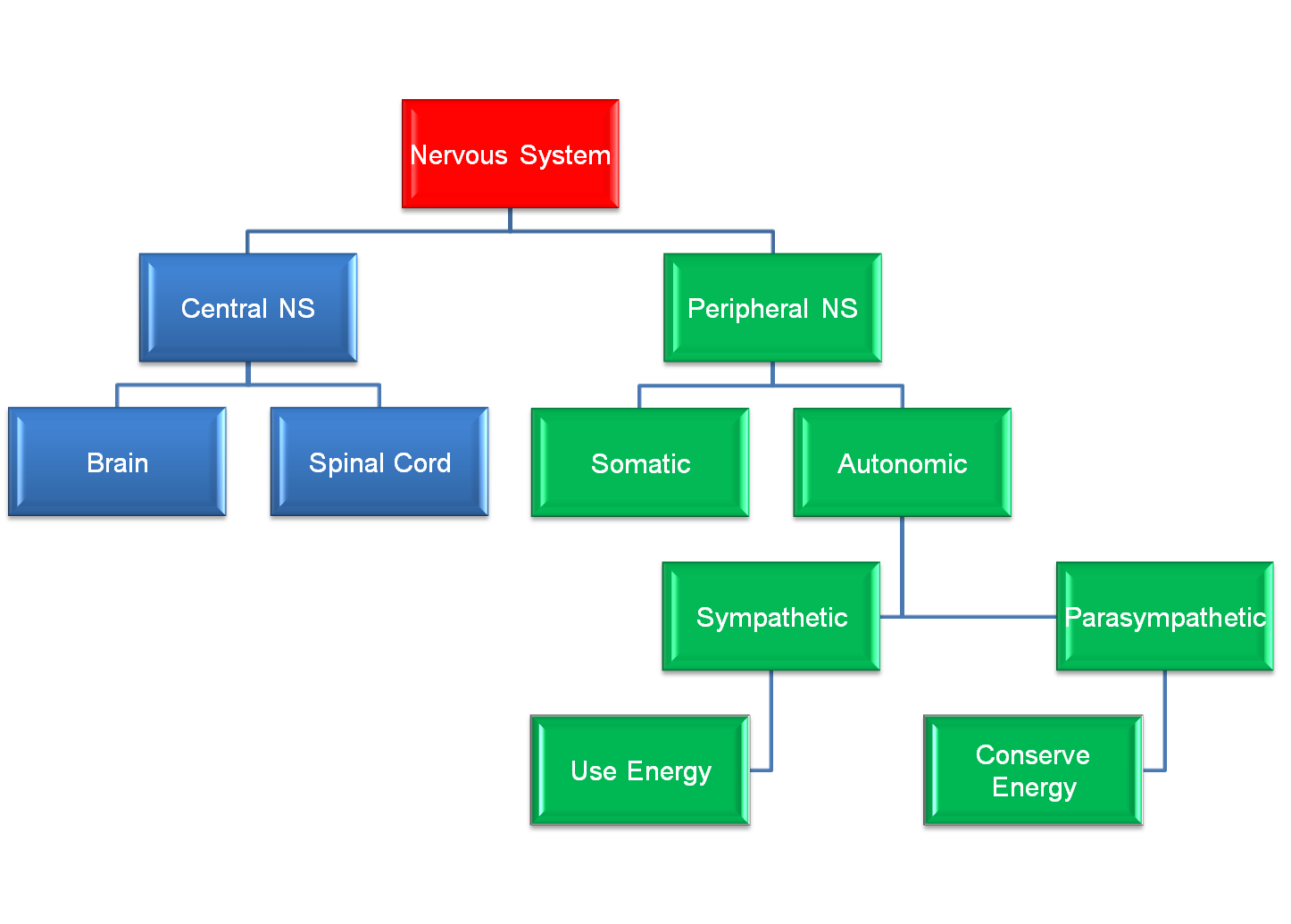 SSC Psychology: The body's response to stress
