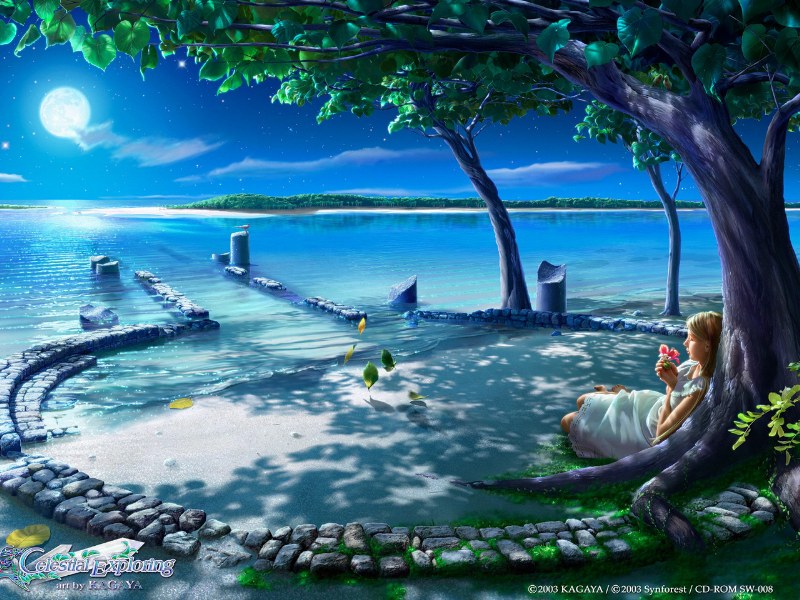 Best WallPapers: World Best HD Wallpapers
