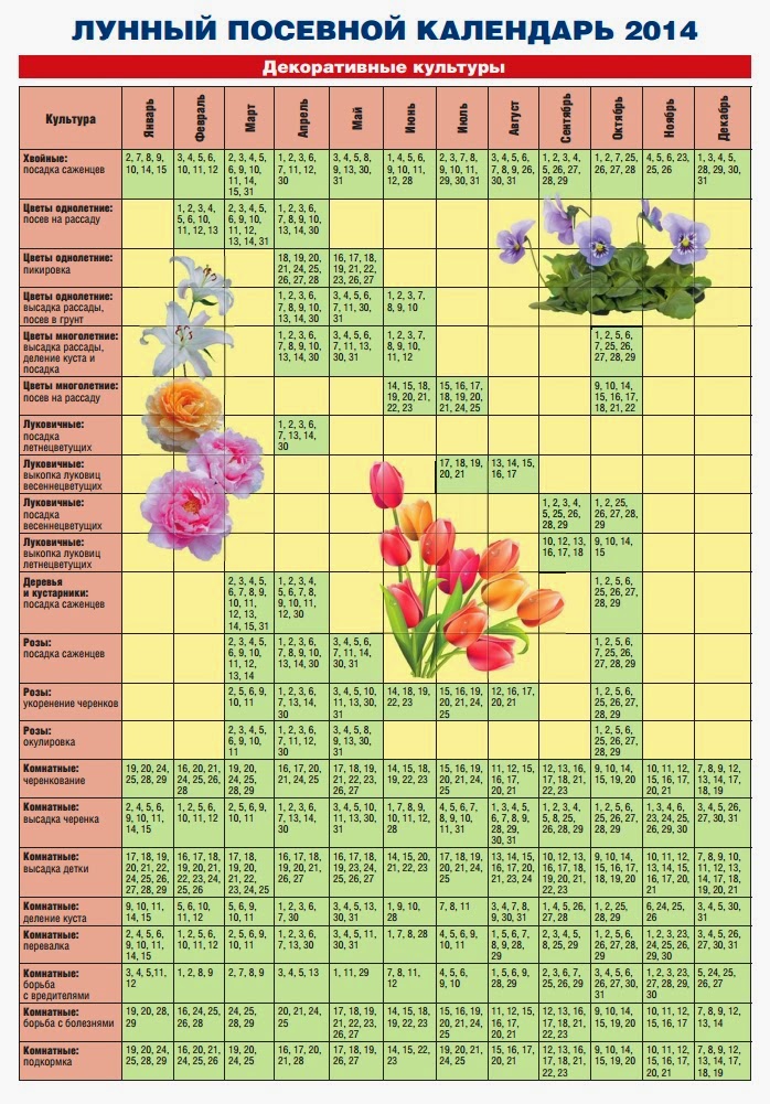 Дни посадки однолетних цветов в марте 2024. Календарь рассады цветов. Календарь посева однолетних цветов на рассаду. Календарь посадки однолетних цветов. Лунный календарь для посева однолетних цветов.