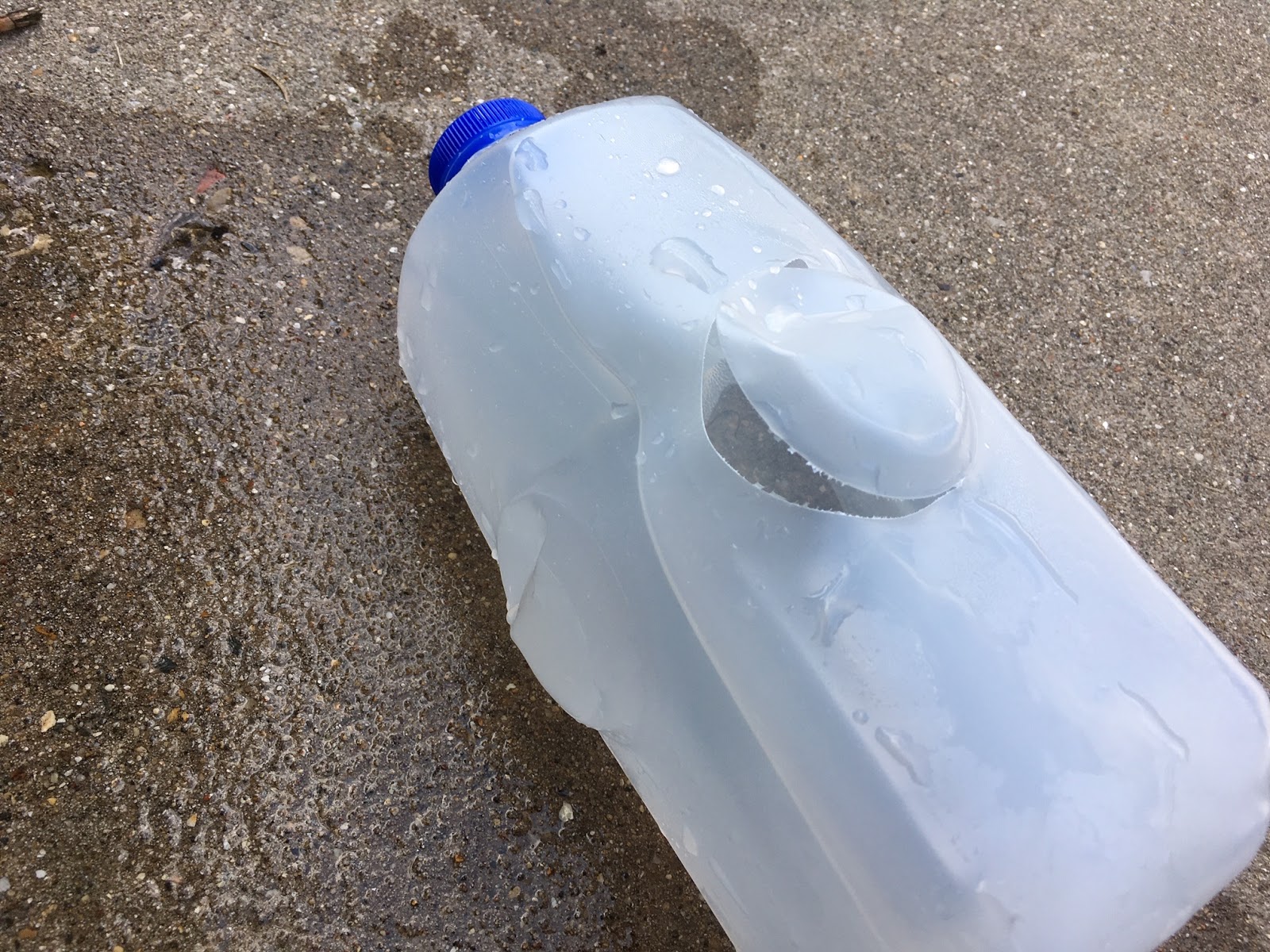 Why Do Milk Jugs Have Dents Quotes Today