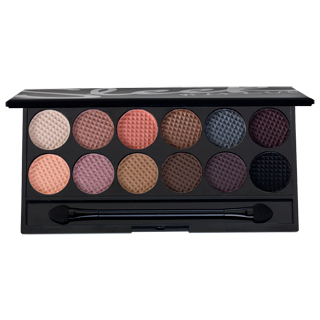 Apologetic Update and Sleek Palette GIVEAWAY!(01/01)