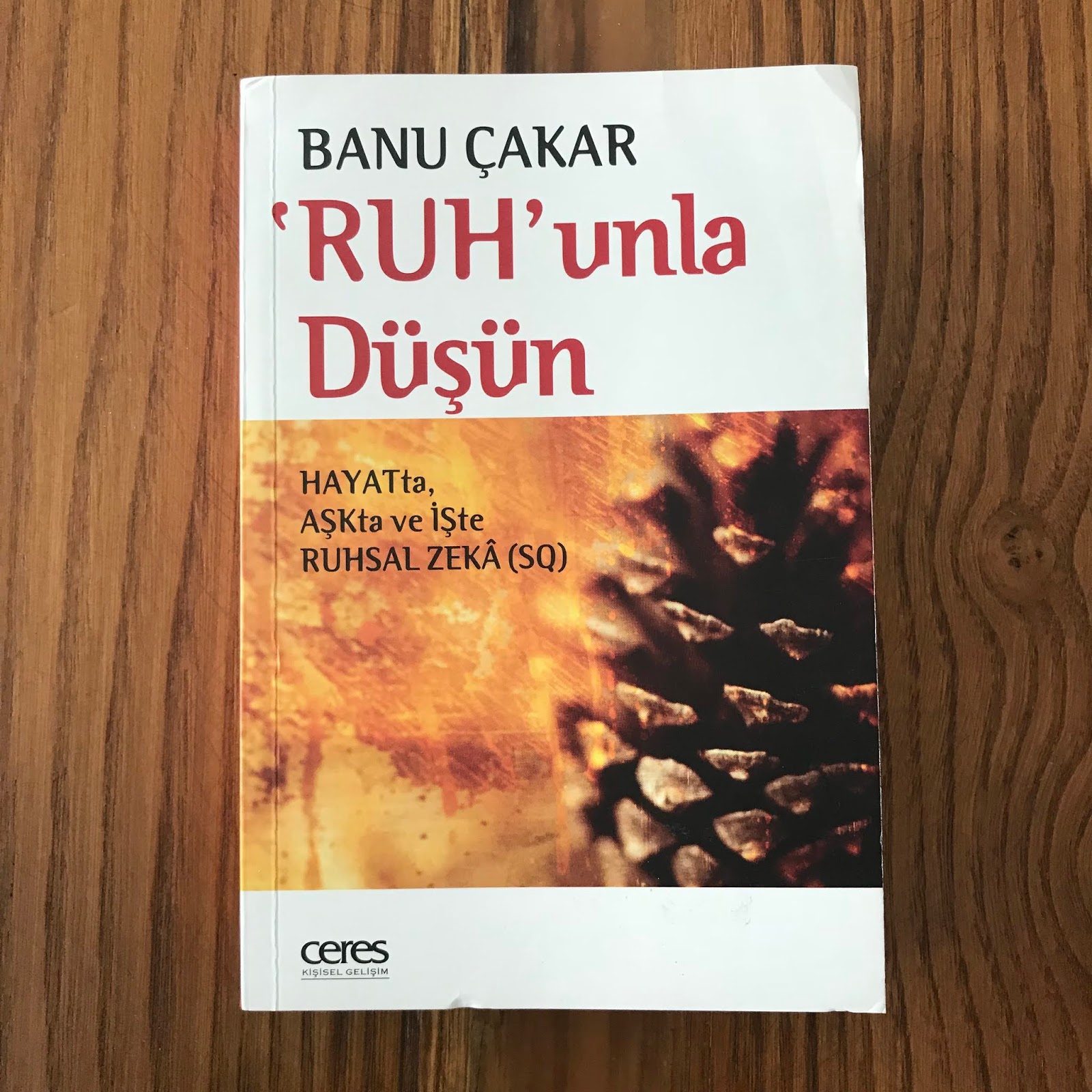 Ruhsal Zeka Muhammed Bozdag 13 Tl Kapida Ode Yediveren