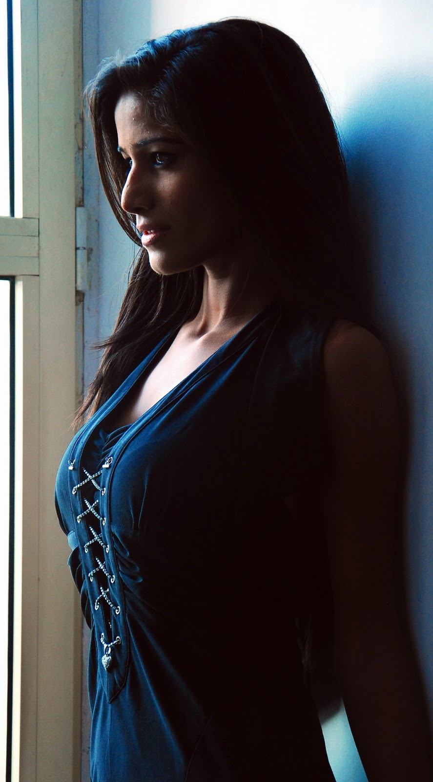 Poonam Pandey to srip on world cup cricket final |News Vision: Online