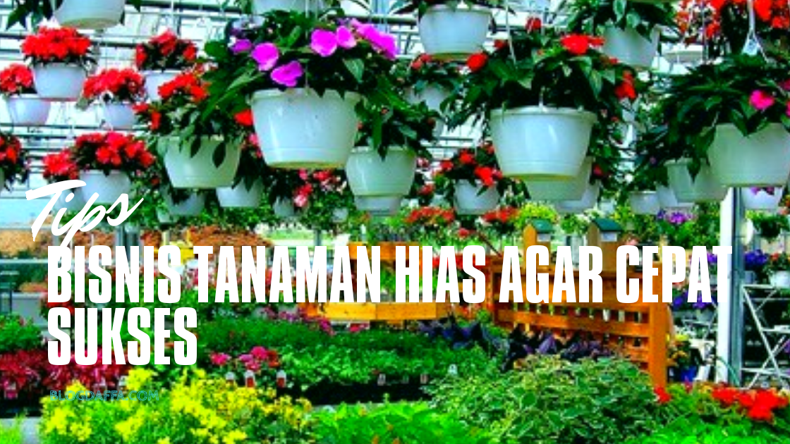 5 Tips Memulai Bisnis Tanaman Hias Peluang Usaha Yang Sangat Menguntungkan Loh Blogdaffa Com