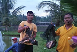 Can T Find Substitution For Tag Blog Pagname Tigaribu Net