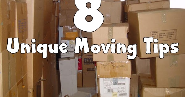 Don'T Even Think About Moving Your Shed Until You Read This! - eihajxx