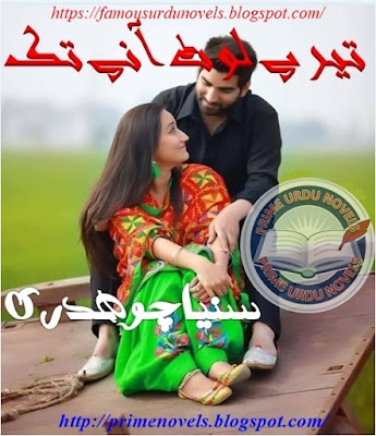 Free download Tery lout any tak novel by Sania Chaudhary Part 1 pdf