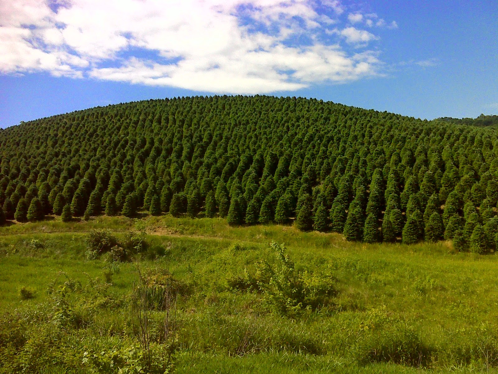 Heart and Sole Success! The connection to the Appalachian Trail