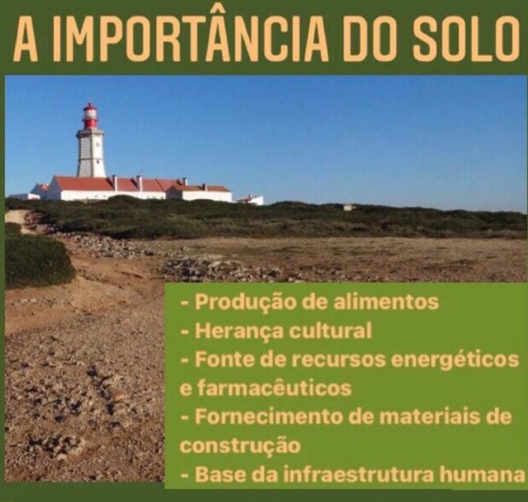 Vivos seres importancia A Importância Do Solo - Toda Matéria