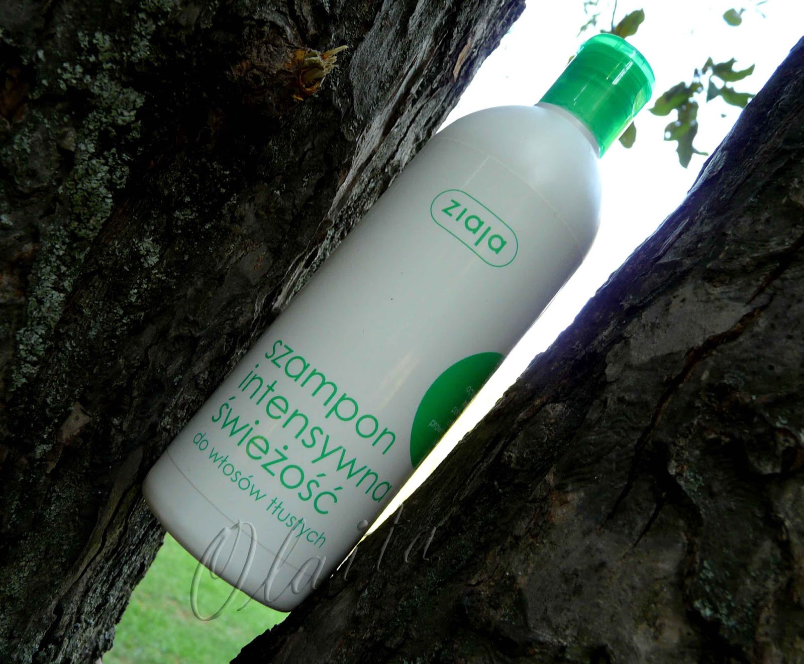 Life is wonderful Шампунь для жирных волос "Интенсивная свежесть" от