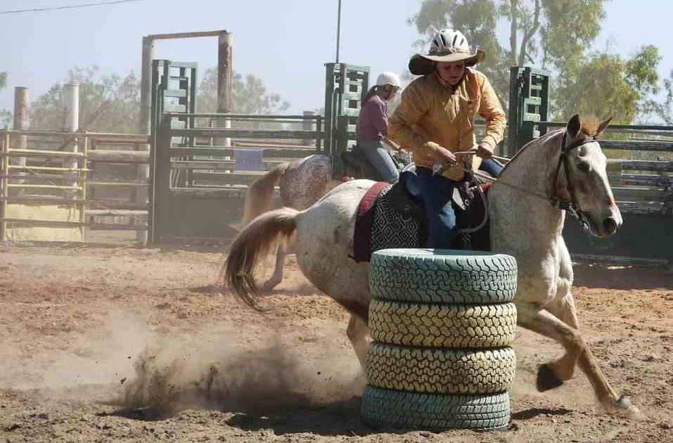 Shoeing for Different Disciplines The Farrier Guide