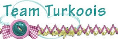 Team Turkoois