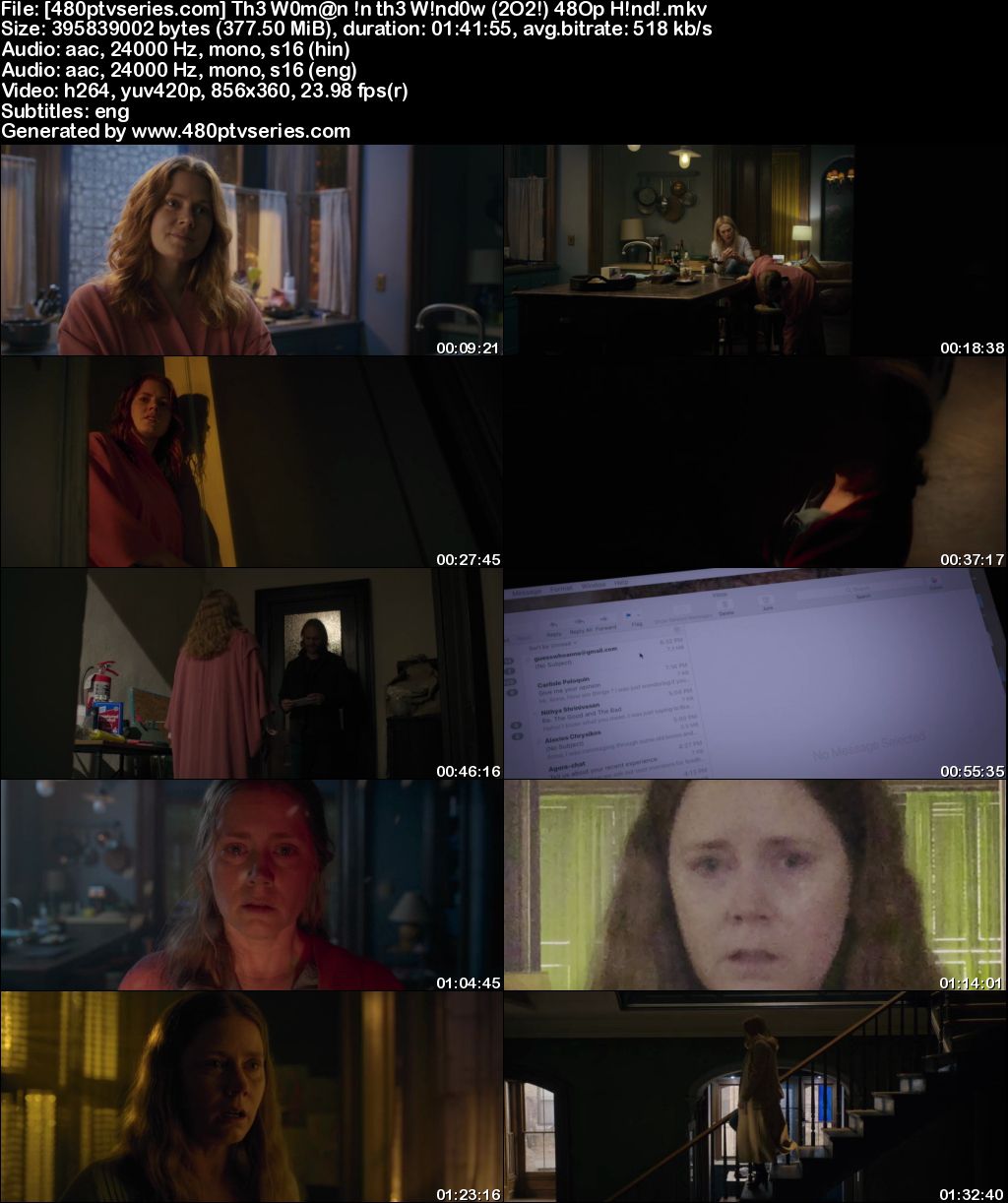 The Woman in the Window (2021) 350MB Full Hindi Dual Audio Movie Download 480p Web-DL Free Watch Online Full Movie Download Worldfree4u 9xmovies