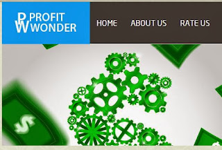 Profitwonder hyip Details