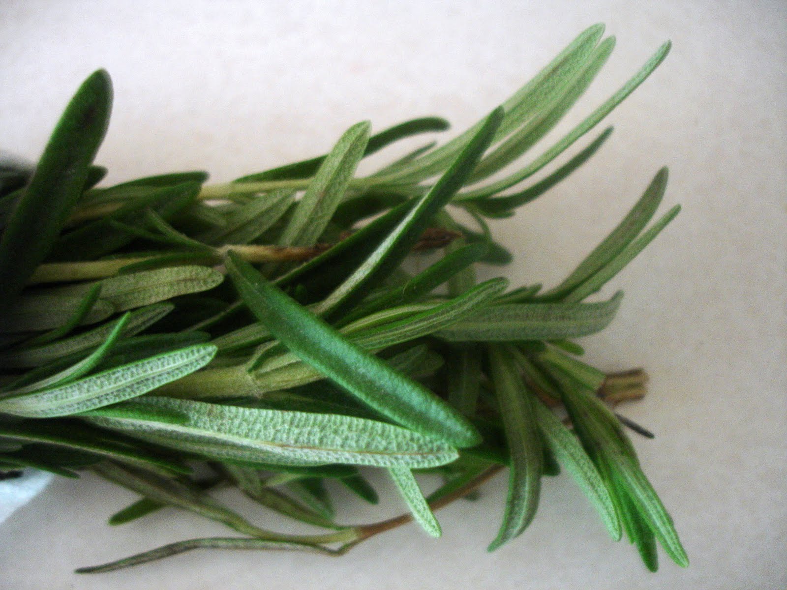 A Tribute to Cooking PineappleRosemaryCilantro Popsicle