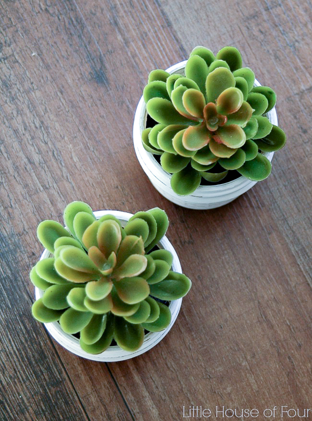 Quick and Easy Dollar Store Succulents Little House of Four