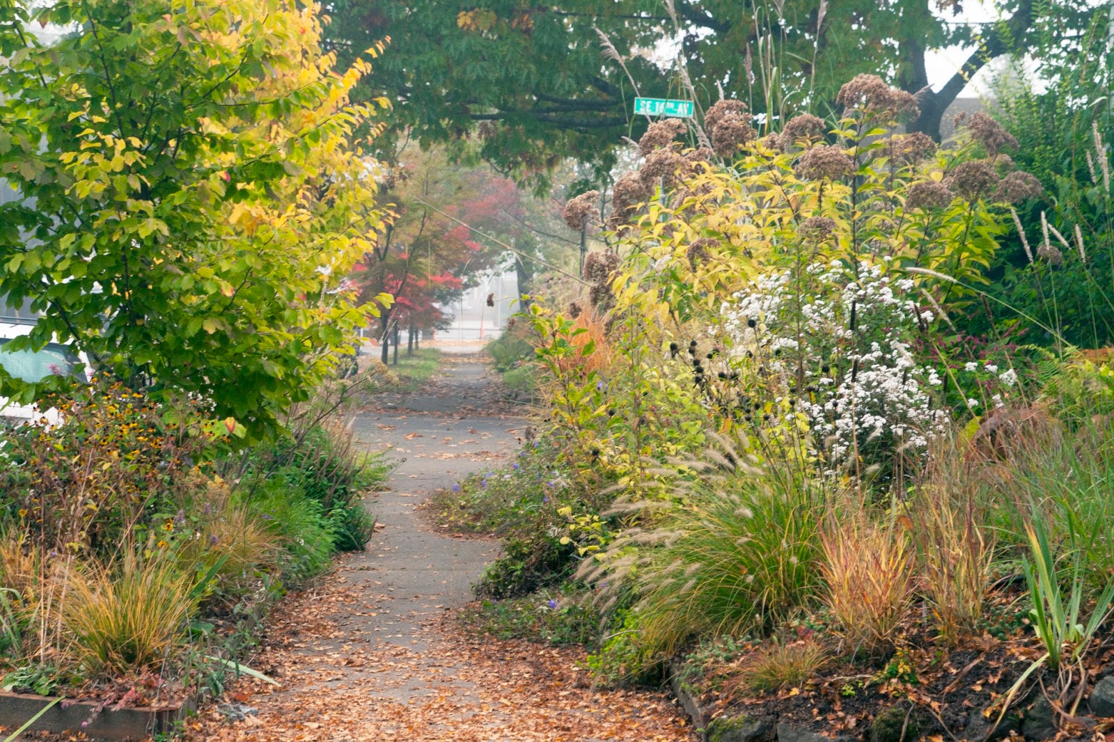danger garden Gardening in the Pacific Northwest The Complete