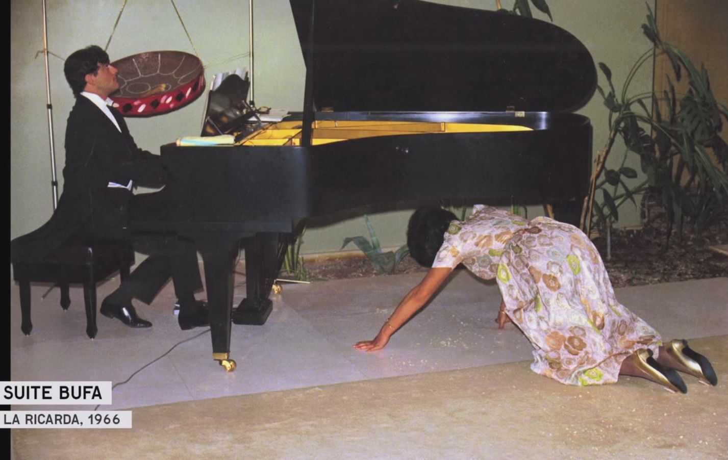 Tocho T8 JOSEP MESTRES QUADRENY (19292021) SUITE BUFA (LA RICARDA