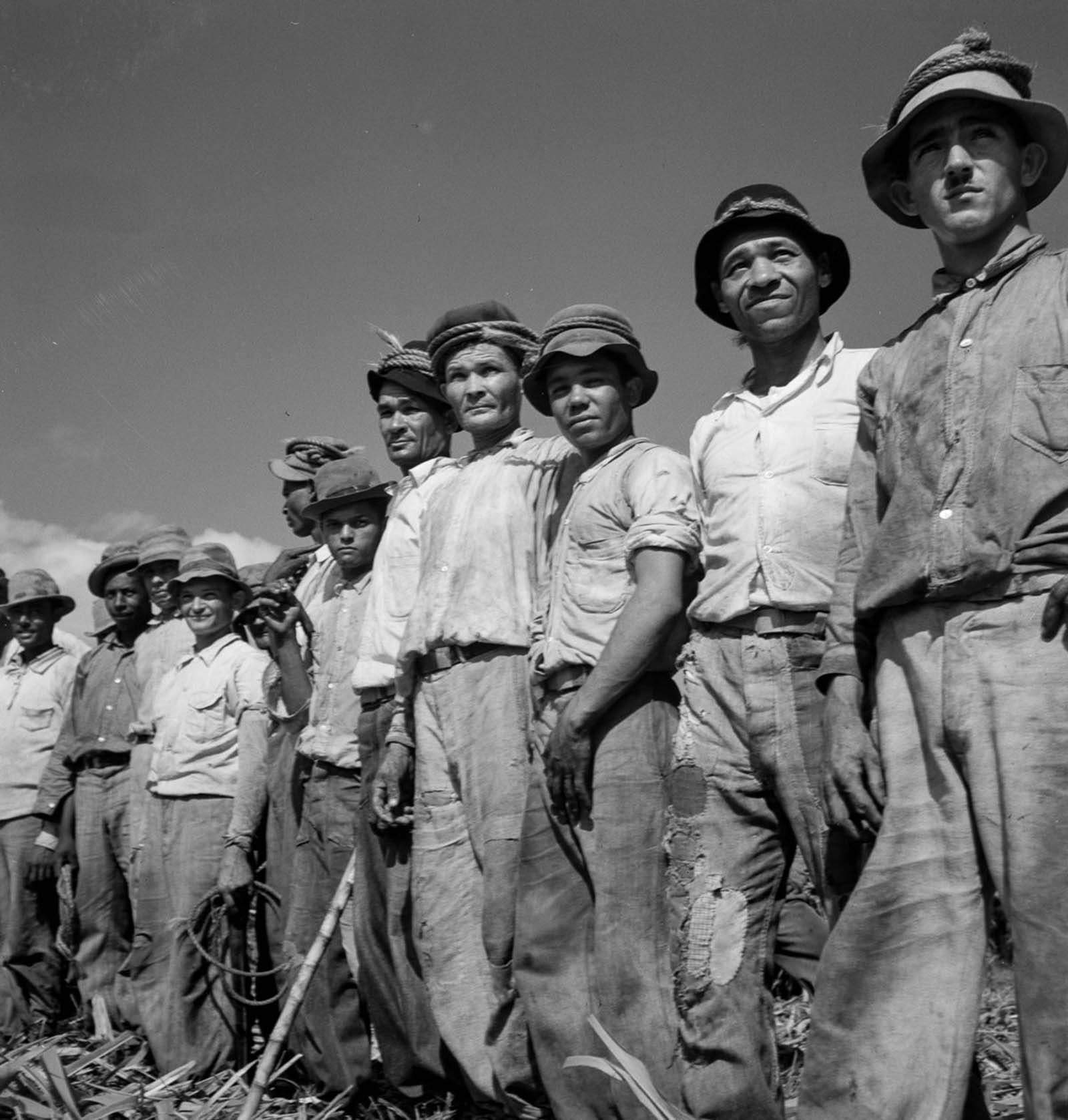 Laborers on a sugar plantation near Arecibo.