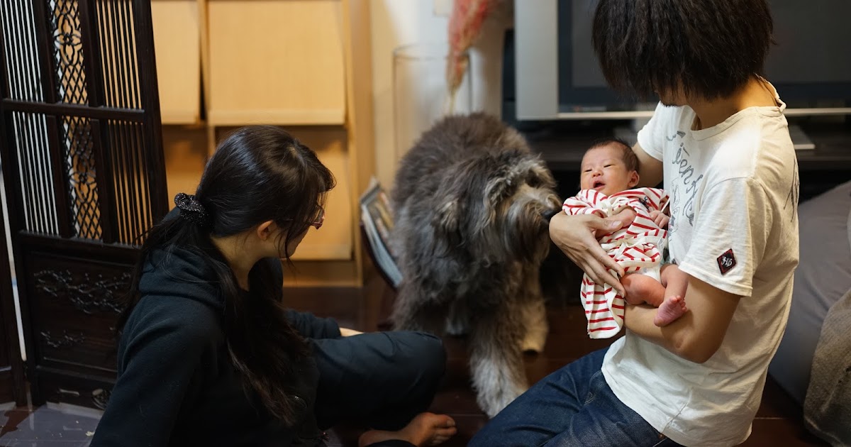 犬とオキシトシン分泌 子供と犬が一緒に仲良く暮らせる為に調べた事 ジオファミリーブログ Jiofamily Blog