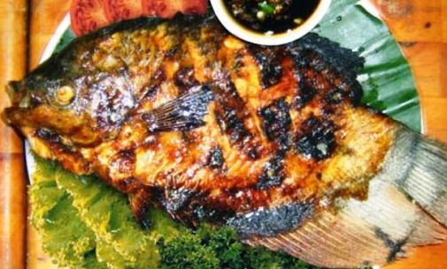 Soy Sauce Grilled Fish Recipe